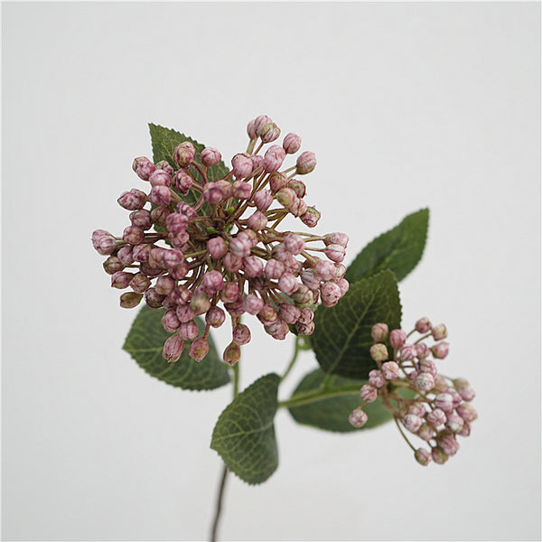 Viburnum Bud Flower Decor