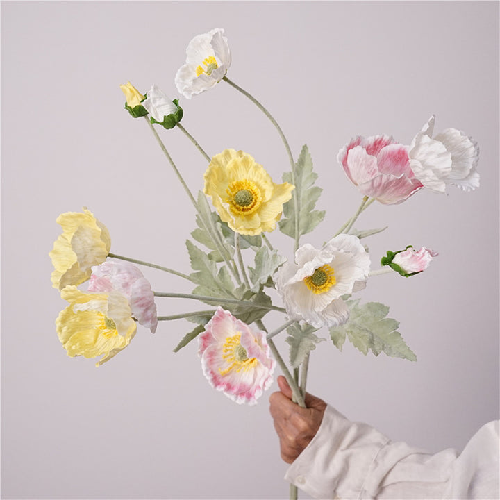 Iceland Poppies Flower Decor