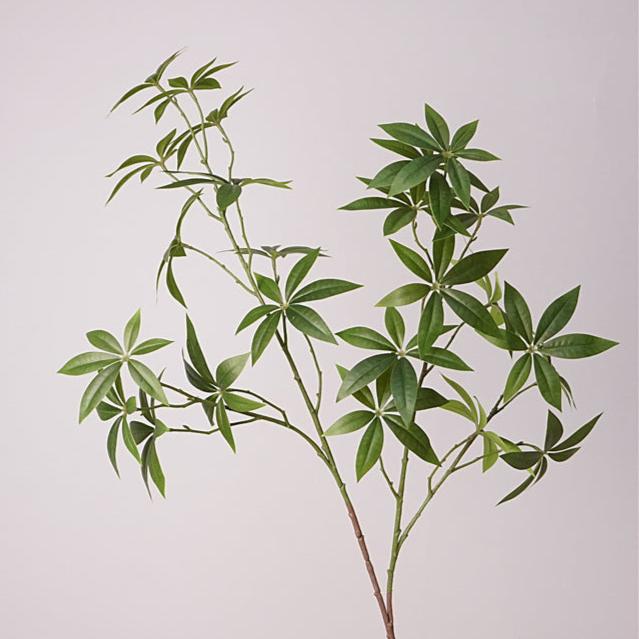 Faux Andromeda Greenery