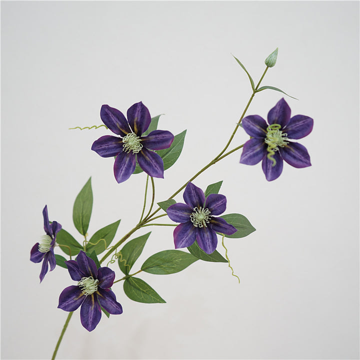 Majestic Clematis Flower Decor