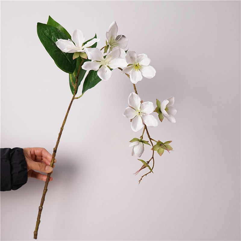 Merr’s Clerodendrum Flower Decor