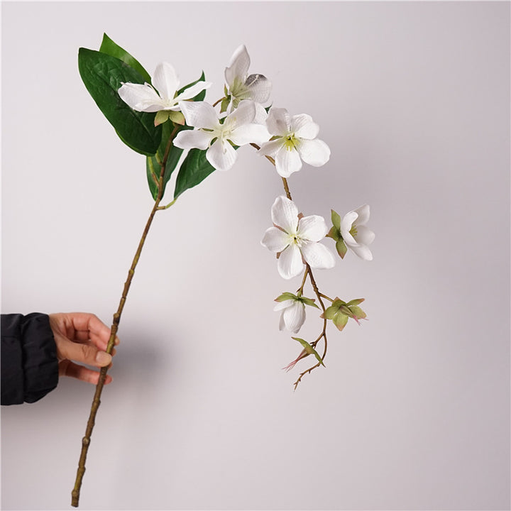 Merr’s Clerodendrum Flower Decor