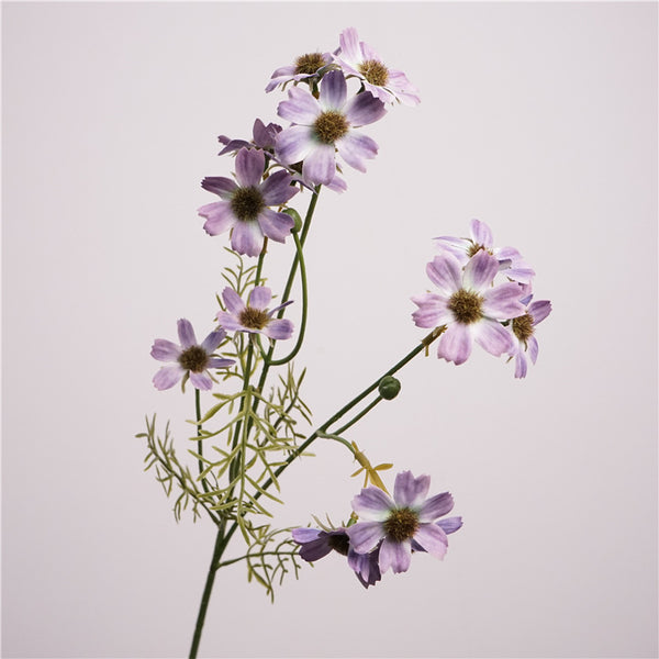 Charming Cosmos Flower Decor