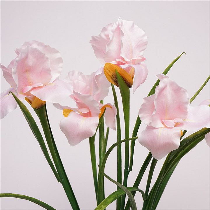 Faux Iris Stem