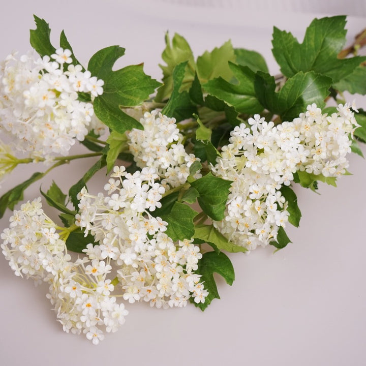 Viburnum Flower Decor