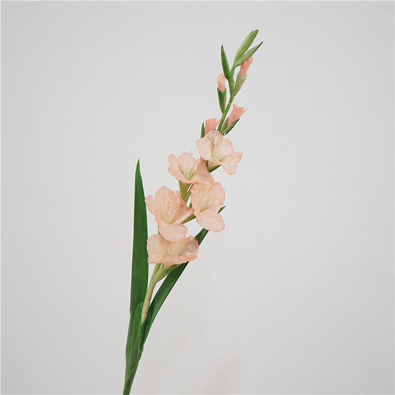 Gladiolus Flower Decor