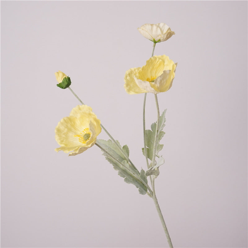Iceland Poppies Flower Decor