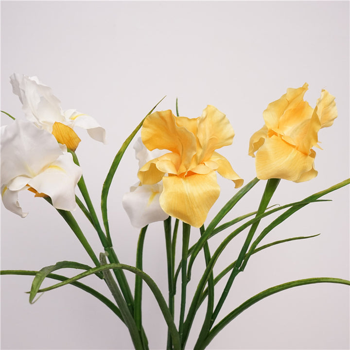 Faux Iris Stem