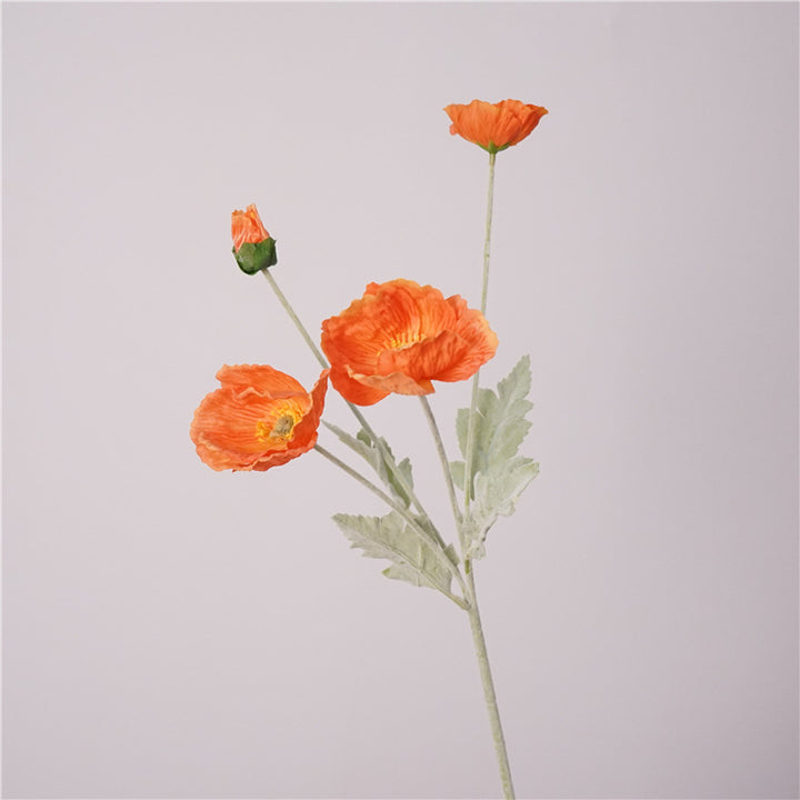 Iceland Poppies Flower Decor