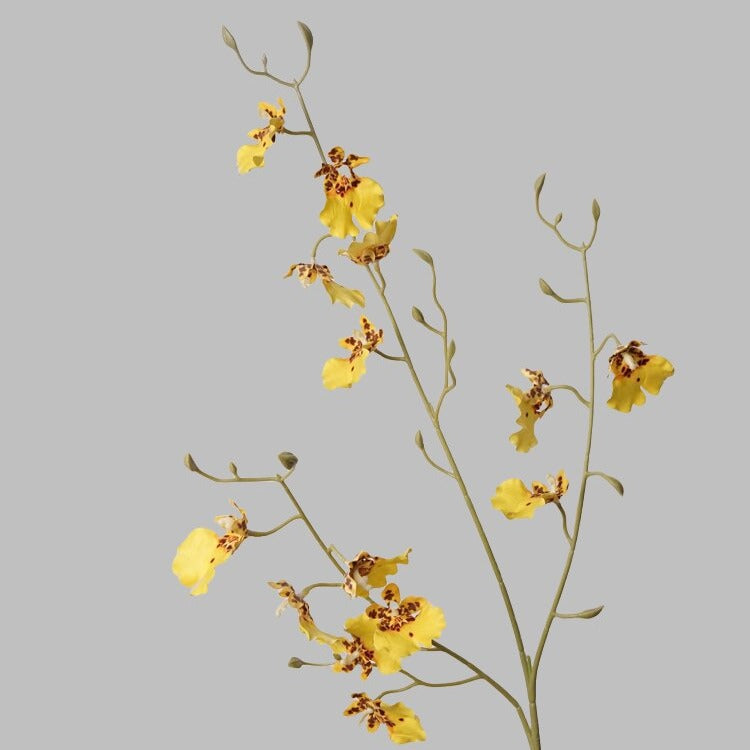 Orchid Oncidium Flower Decor