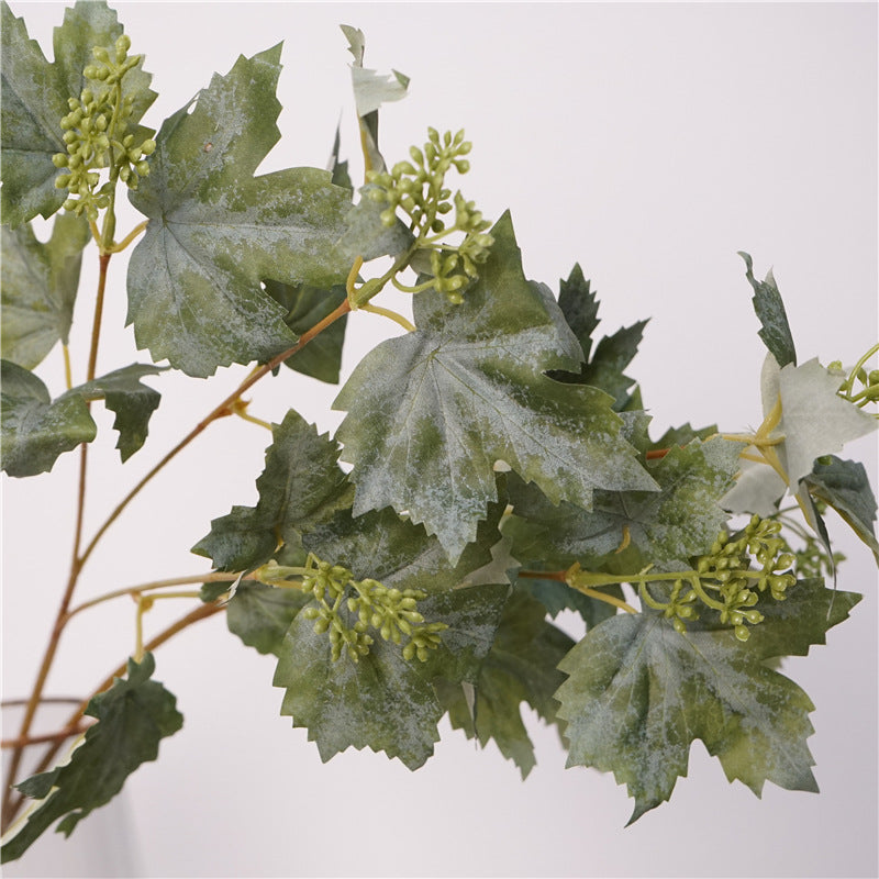 Grape Vine Leaves