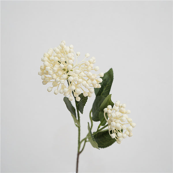 Viburnum Bud Flower Decor