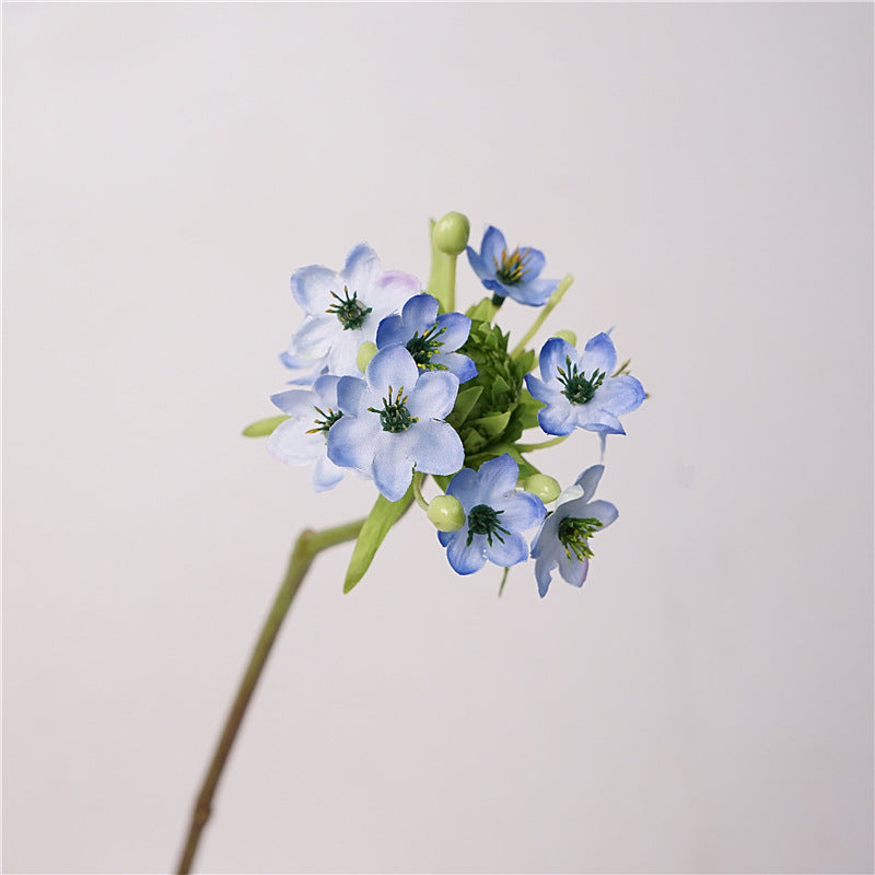 Star of Bethlehem Flower Decor