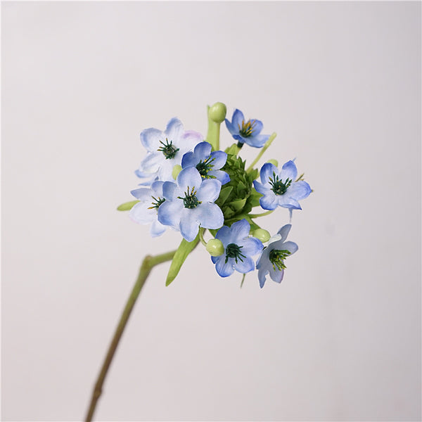 Star of Bethlehem Flower Decor