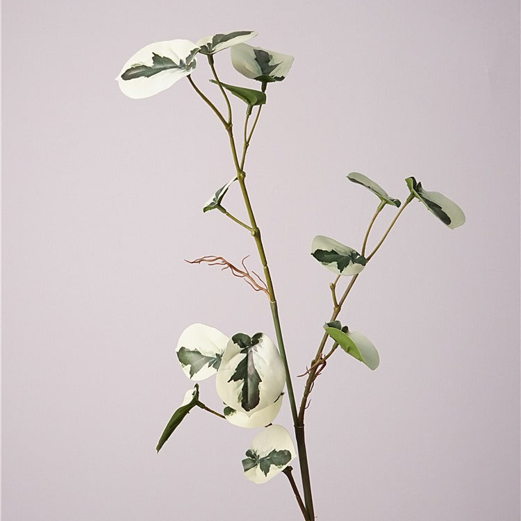 Monstera Deliciosa Plant Decor
