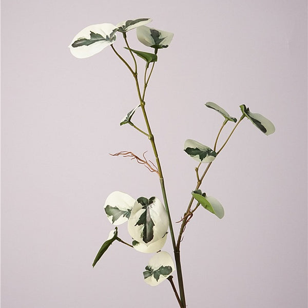 Monstera Deliciosa Plant Decor