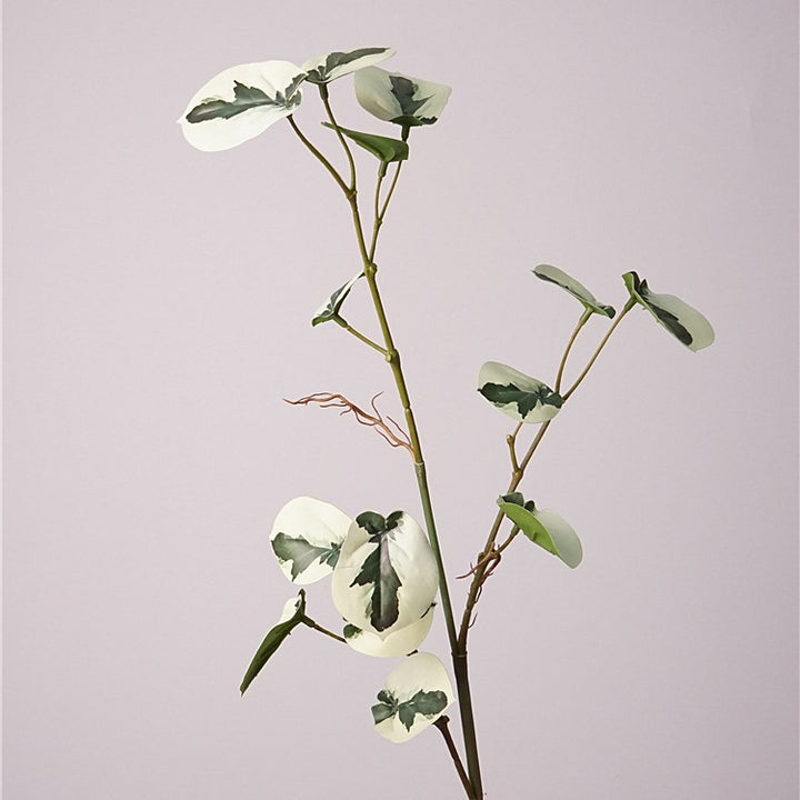 Monstera Deliciosa Plant Decor