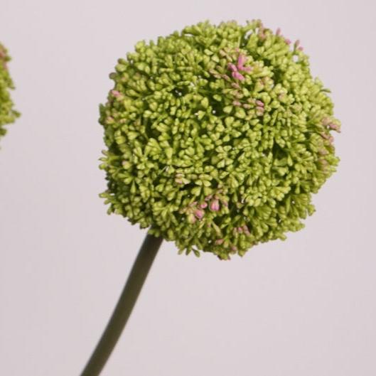 Luxe Allium Flower Decor