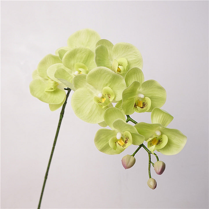 Orchid Bloom Flower Decor