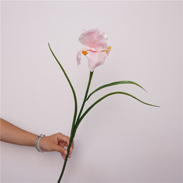 Faux Iris Stem