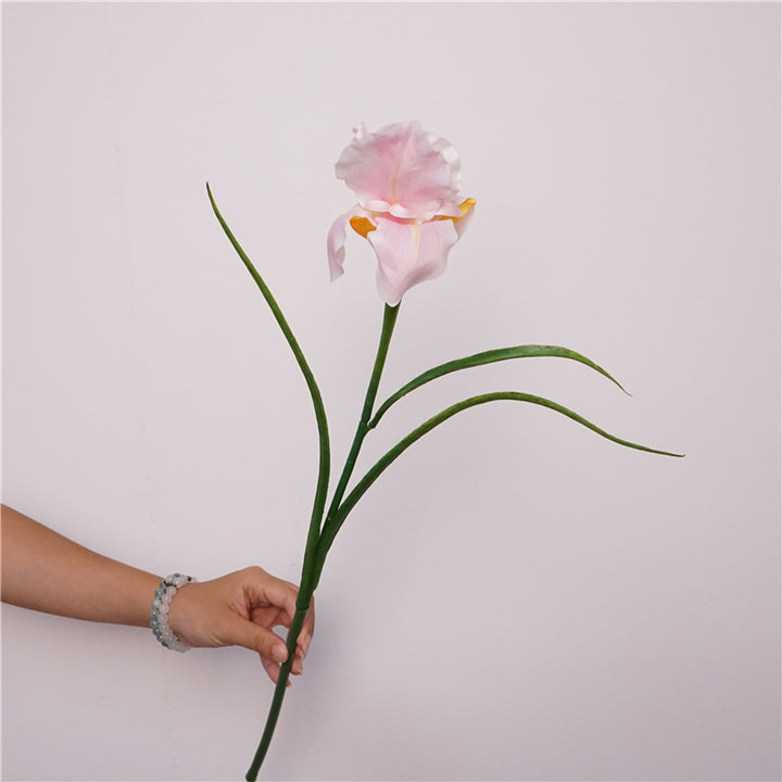 Faux Iris Stem