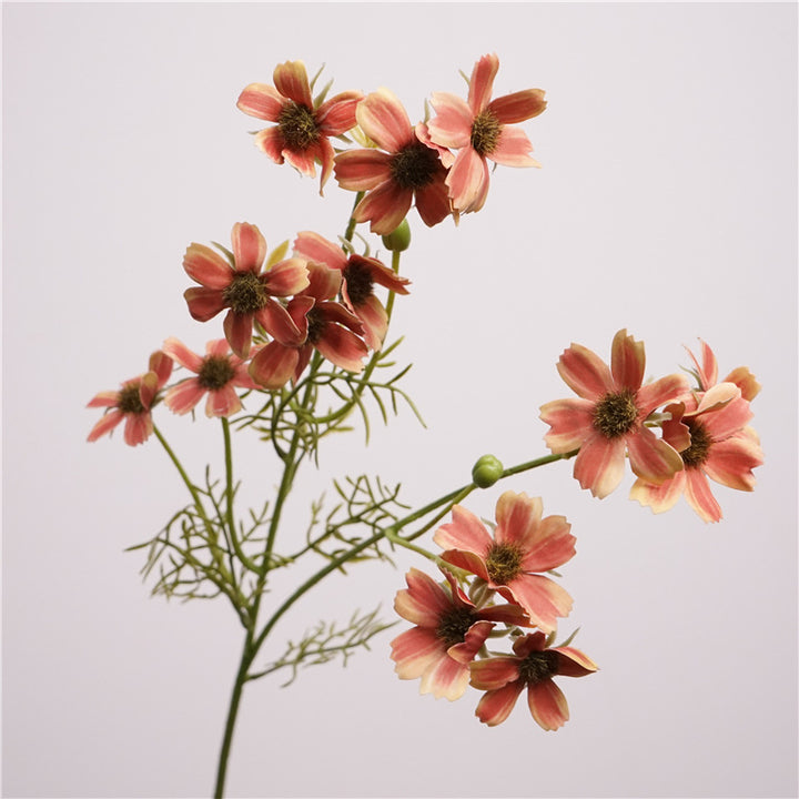 Charming Cosmos Flower Decor