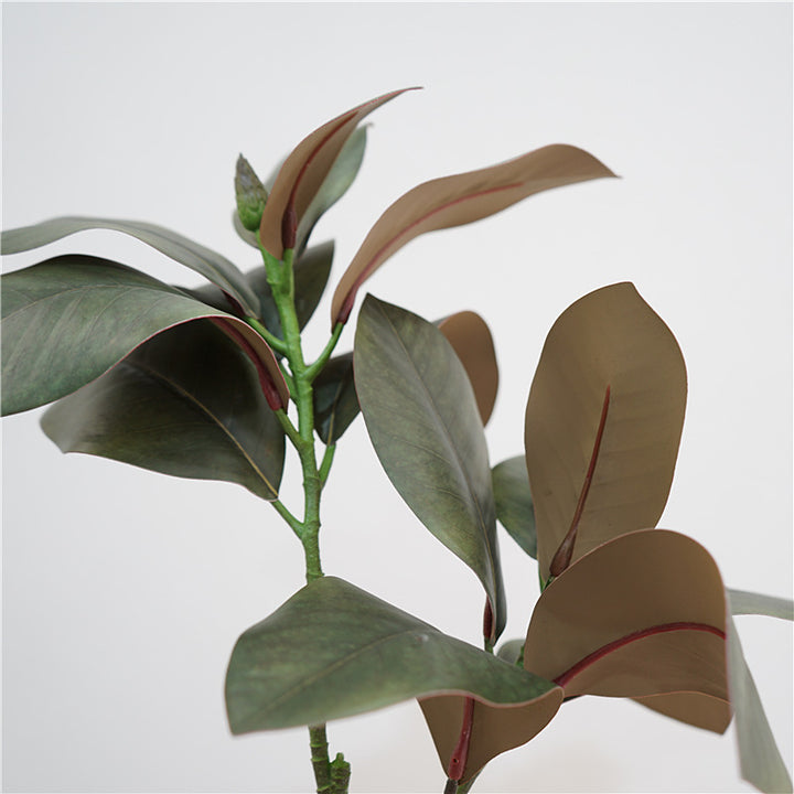 Magnolia Leaf Decor