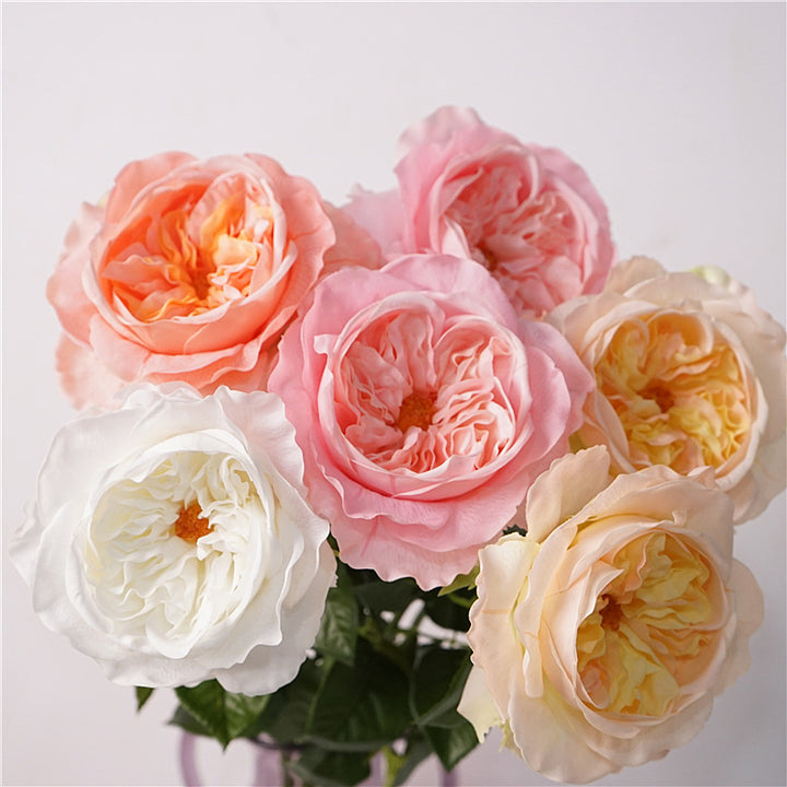 David Austin Roses Flower Decor