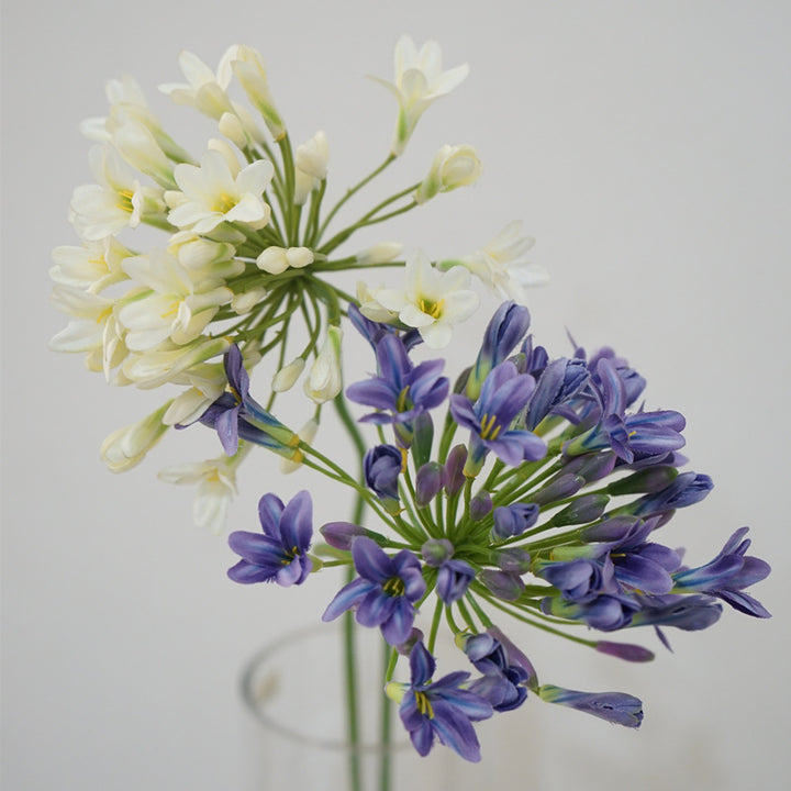 Lily Agapanthus Flower Decor
