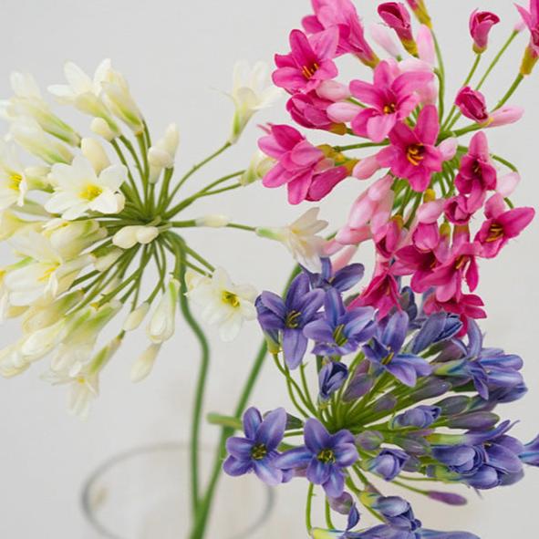 Lily Agapanthus Flower Decor