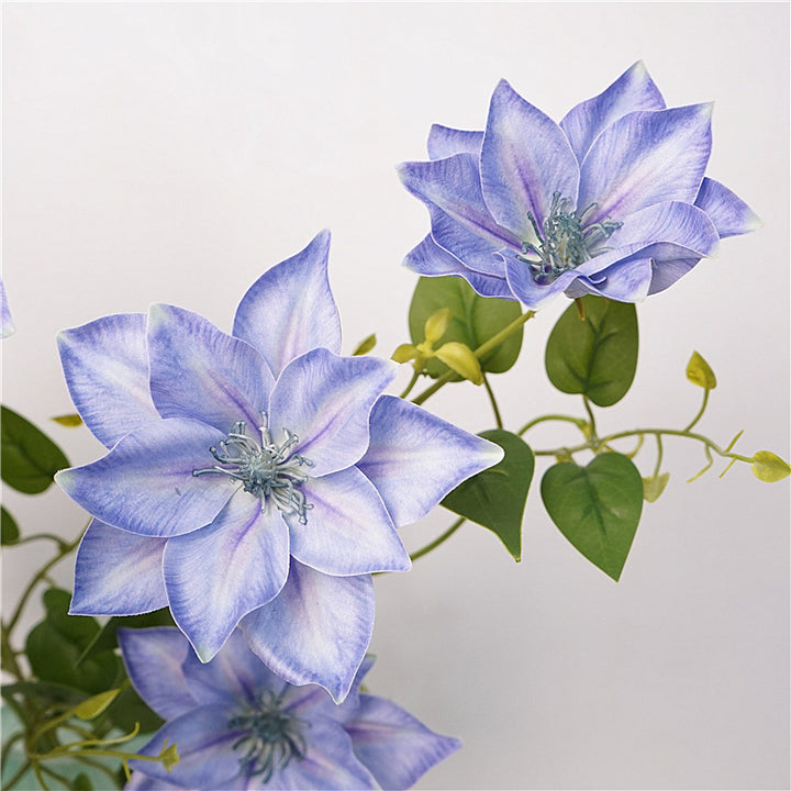 Clematis Flower Decor