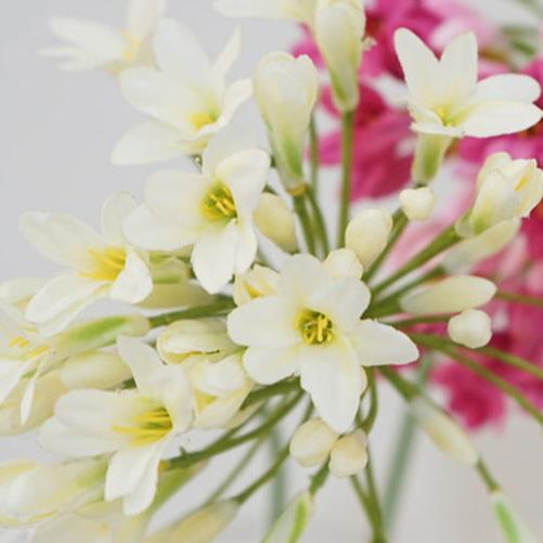 Lily Agapanthus Flower Decor