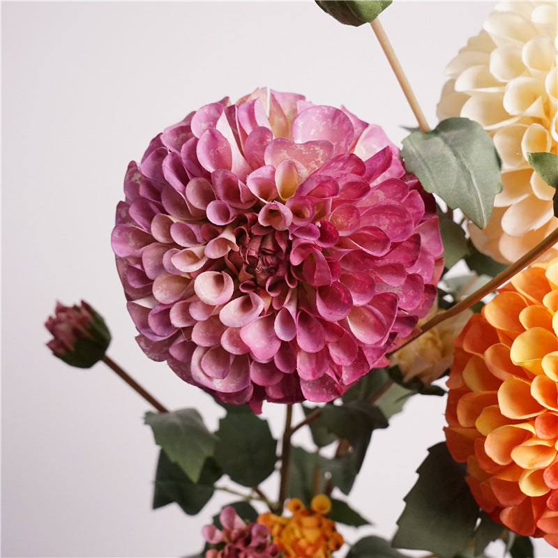 Premium Dahlia Blossom
