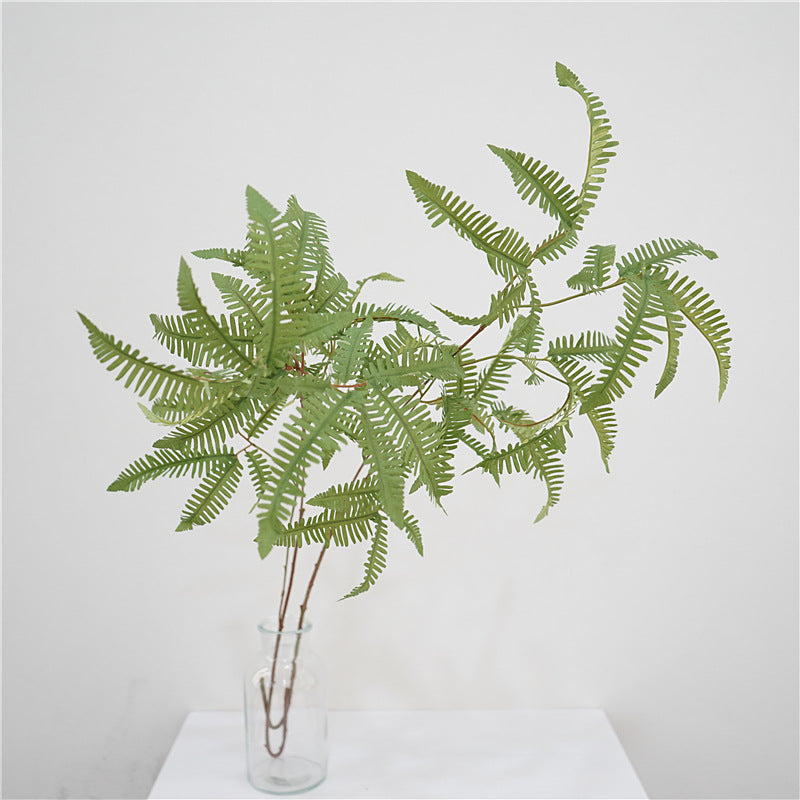 Elegant Fern Foliage