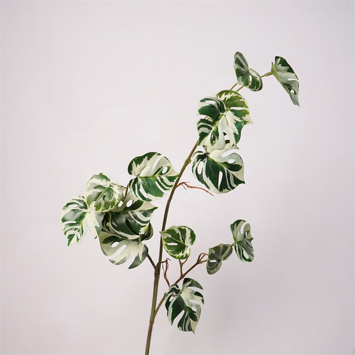 Monstera Deliciosa Plant Decor