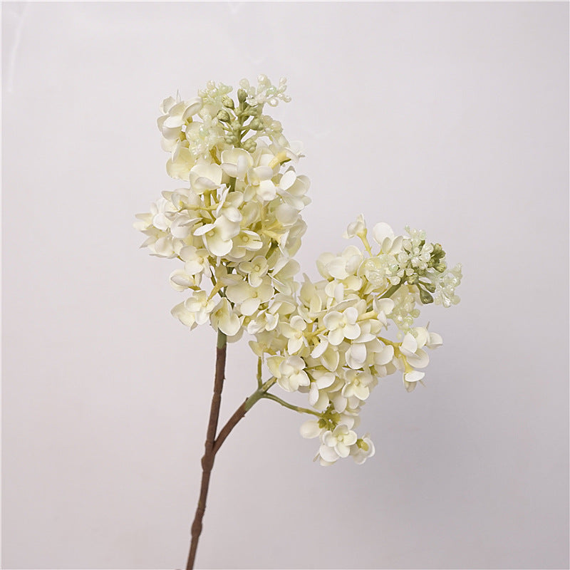 Fresh Lilac Flower Decor