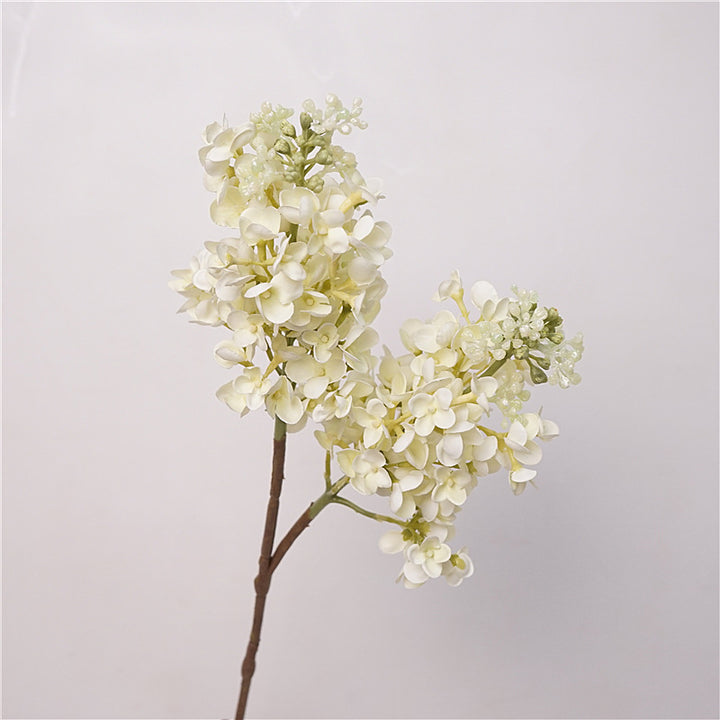 Fresh Lilac Flower Decor