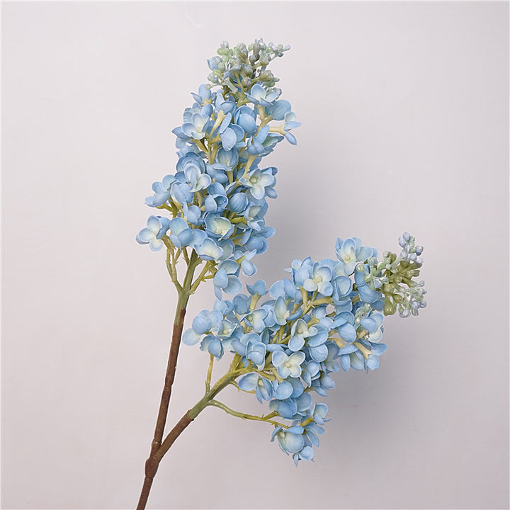 Fresh Lilac Flower Decor