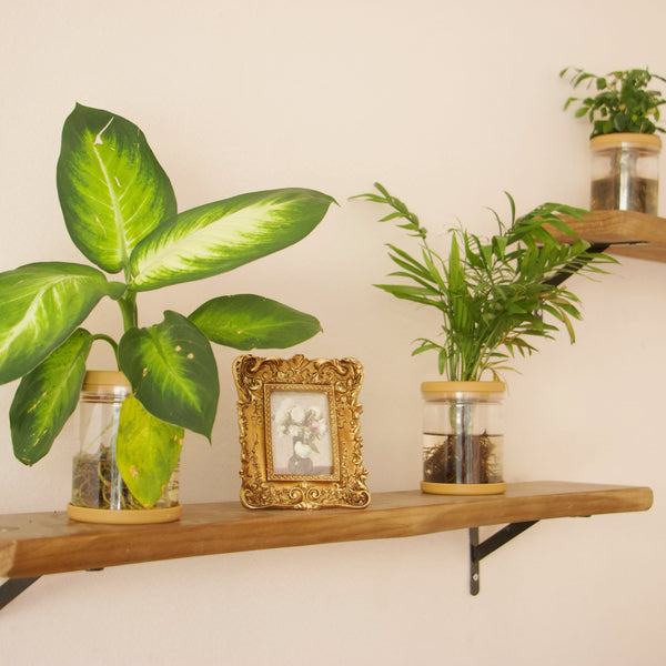 Royal Gilt Photo Frame