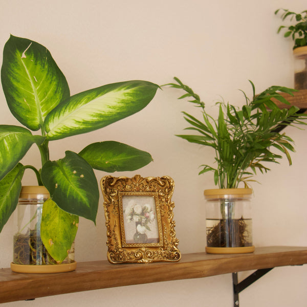 Royal Gilt Photo Frame