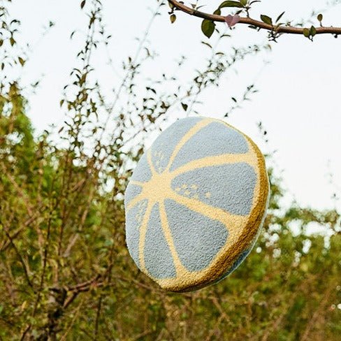 Citrus Burst Cushion -- Delicors