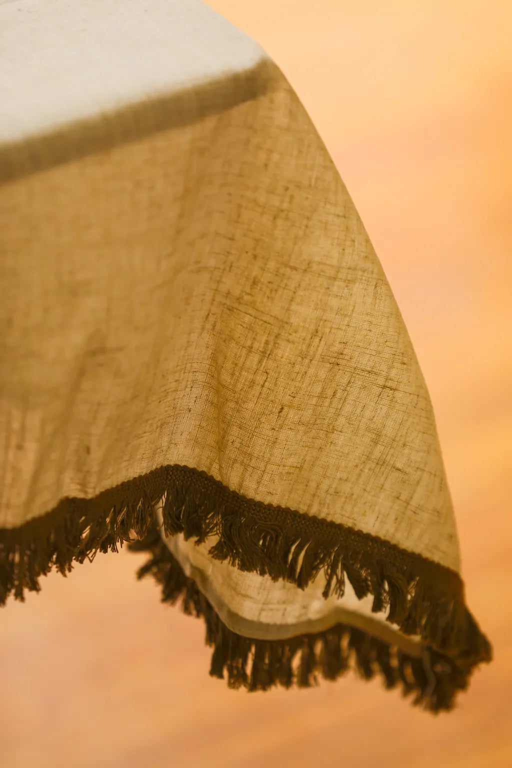 Beige Tassel Tablecloth - Delicors