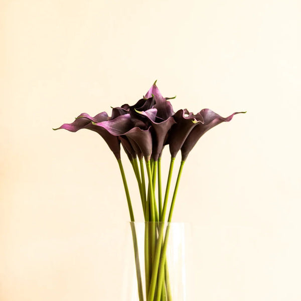 Colourful Calla Lily Bouquet - Delicors