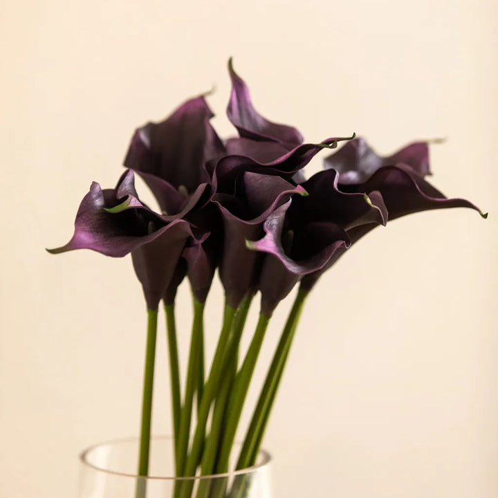 Colourful Calla Lily Bouquet - Delicors