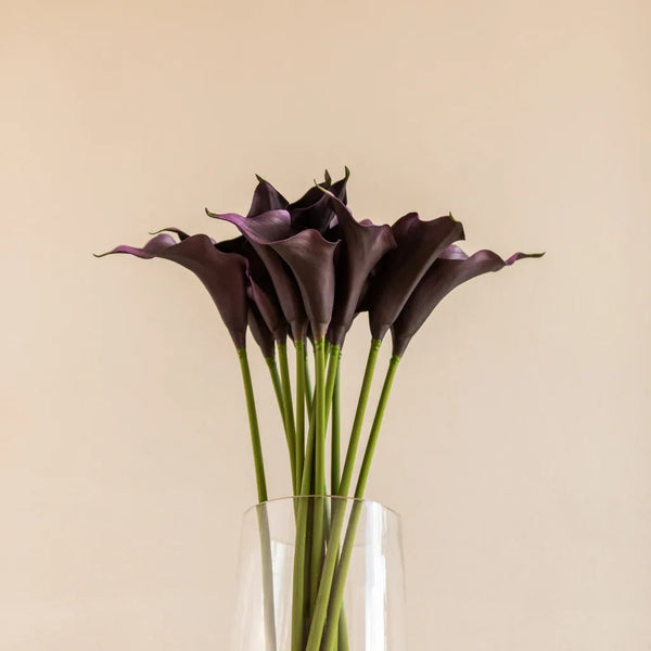 Colourful Calla Lily Bouquet - Delicors