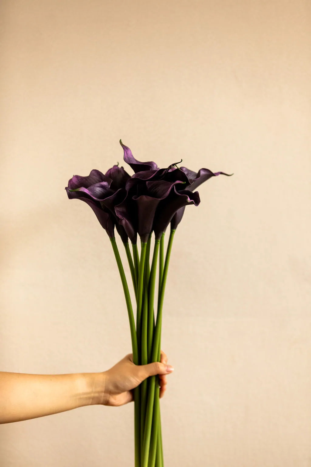 Colourful Calla Lily Bouquet - Delicors