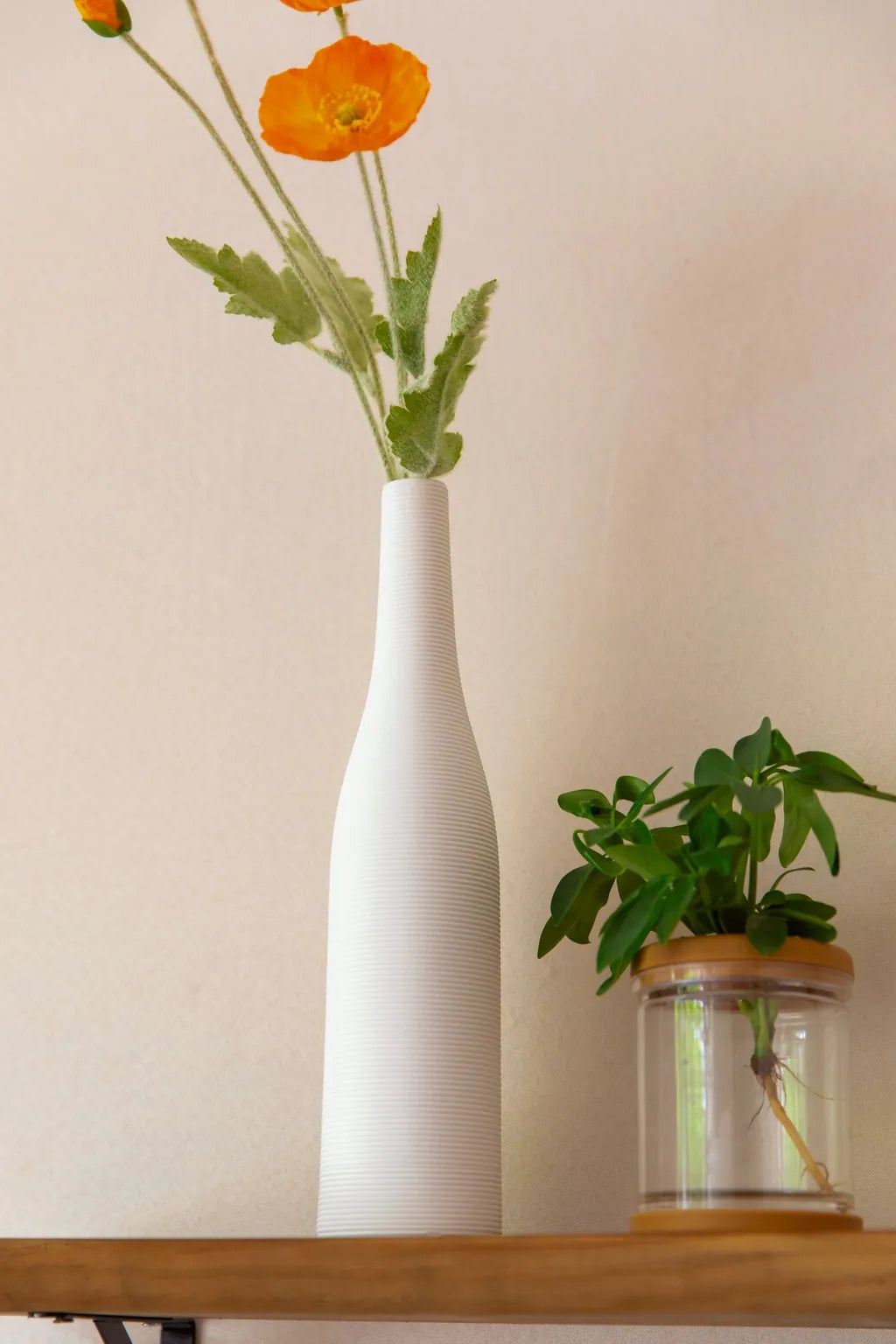 Elegance in Bottles Vase - Delicors