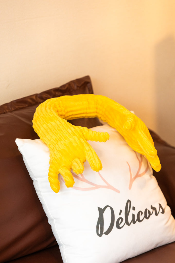Long Arm Big Hug Cushion -- Delicors