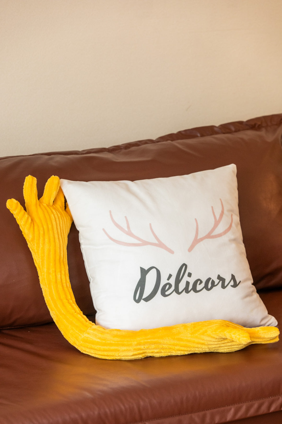 Long Arm Big Hug Cushion -- Delicors
