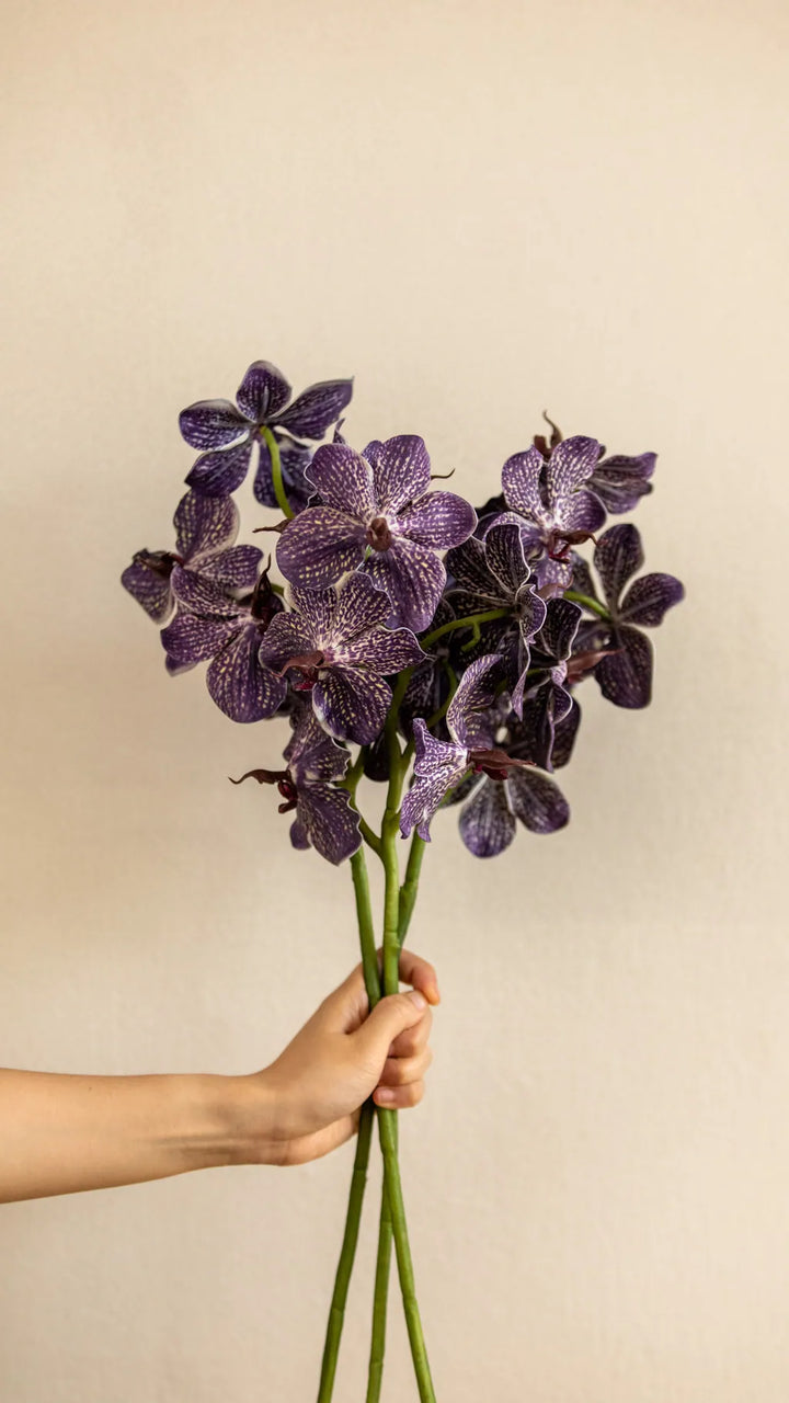 Phalaenopsis Orchids Flower Decor - Delicors